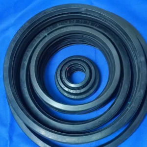 2906906000 Atlascopco Top suppliers in China Atlas ZH centrifuge ZH10000 pipeline seal seal ring